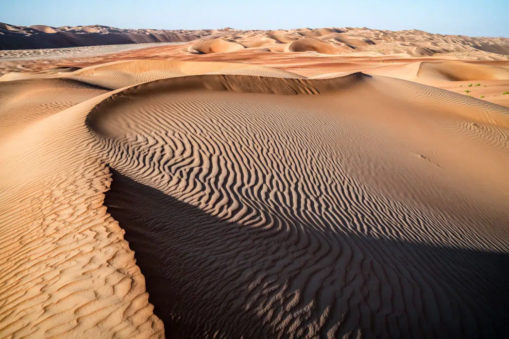 Werden und Vergehen in der Wüste